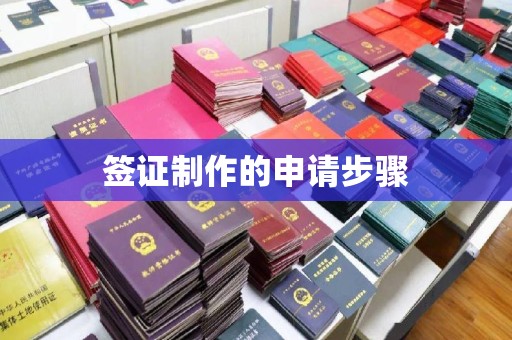 宝坻签证制作的申请步骤