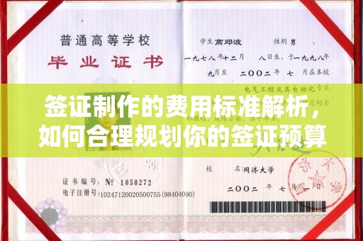 宝坻签证制作的费用标准解析，如何合理规划你的签证预算