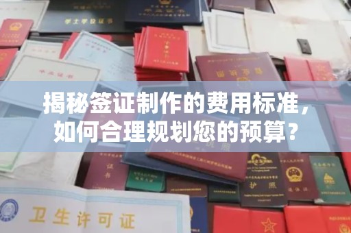 宝坻揭秘签证制作的费用标准，如何合理规划您的预算？