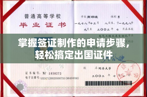 宝坻掌握签证制作的申请步骤，轻松搞定出国证件